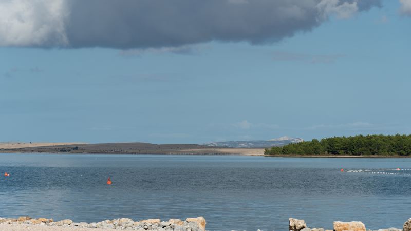 Bucht mit Pinienwald unter Wolken – Villa DEA in Vrsi-Mulo bei Zadar