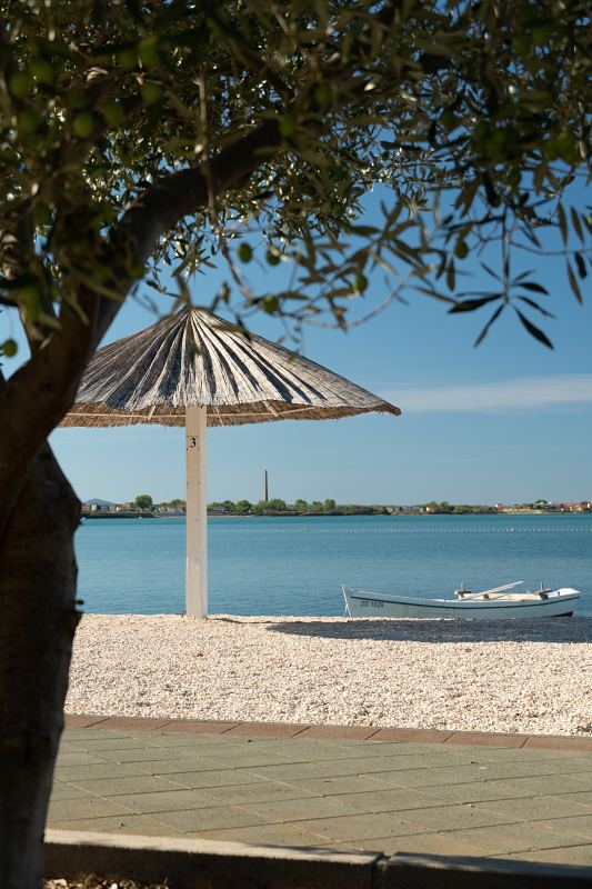 Kiesstrand mit Strohschirm und Boot unter einem Olivenbaum – Villa DEA in Vrsi-Mulo bei Zadar