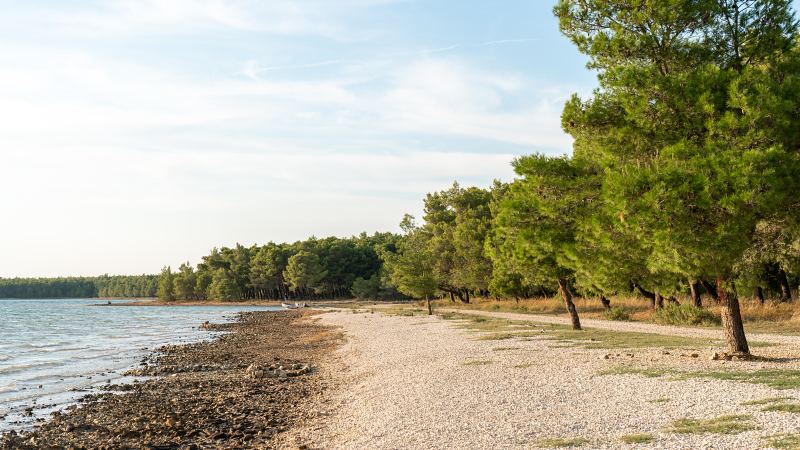 Naturstrand mit Pinienwald – Villa DEA in Vrsi-Mulo bei Zadar