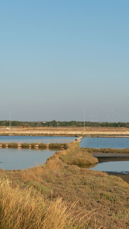 Salzwiesen und Becken der Saline bei Nin – Villa DEA in Vrsi-Mulo bei Zadar