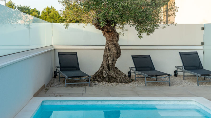 Sonnenliegen am Pool unter dem Olivenbaum – Villa DEA in Vrsi-Mulo bei Zadar